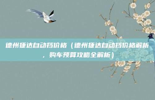 德州捷达自动挡价格（德州捷达自动挡价格解析，购车预算攻略全解析）