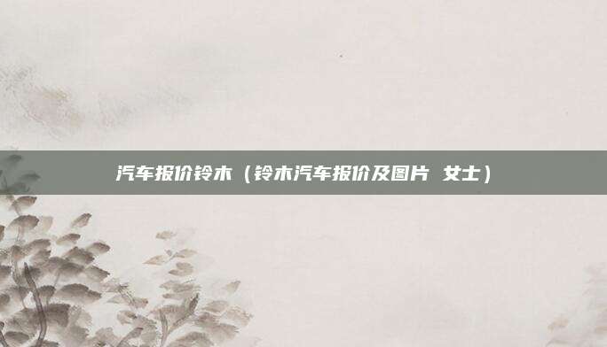 汽车报价铃木(铃木汽车报价及图片 女士)