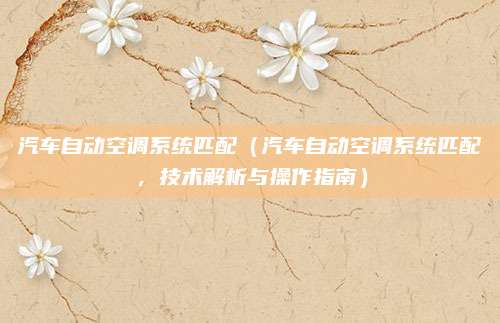 汽车自动空调系统匹配(汽车自动空调系统匹配,技术解析与操作指南)