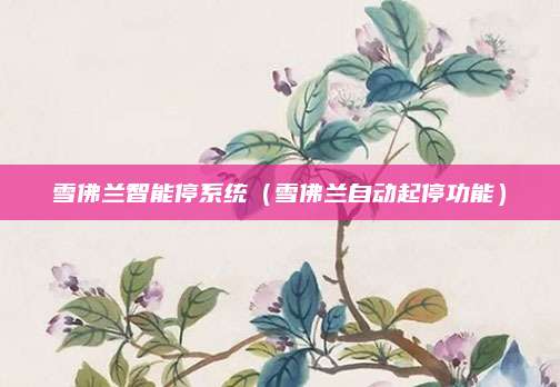 雪佛兰智能停系统（雪佛兰自动起停功能）