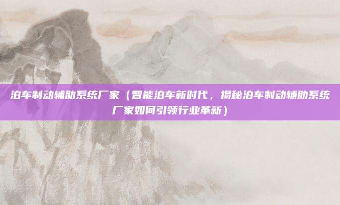 泊车制动辅助系统厂家（智能泊车新时代，揭秘泊车制动辅助系统厂家如何引领行业革新）