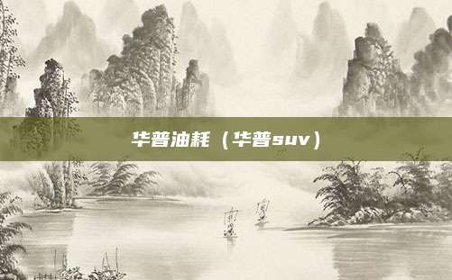 华普油耗(华普suv)