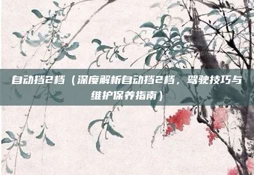 自动挡2档（深度解析自动挡2档，驾驶技巧与维护保养指南）