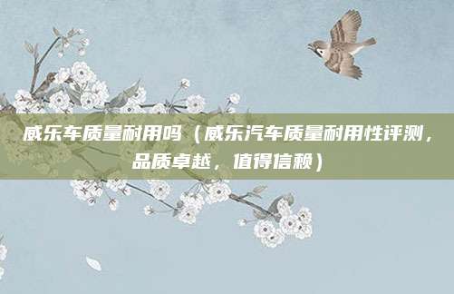 威乐车质量耐用吗（威乐汽车质量耐用性评测，品质卓越，值得信赖）