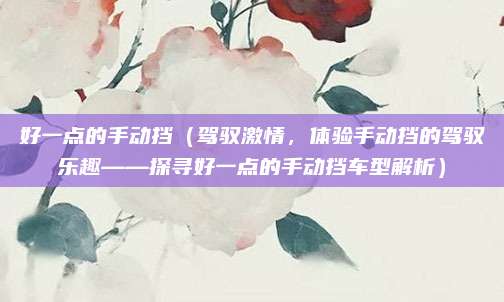 好一点的手动挡(驾驭激情,体验手动挡的驾驭乐趣——探寻好一点的手动挡车型解析)