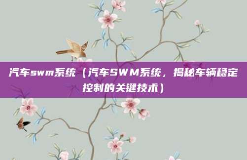 汽车swm系统(汽车SWM系统,揭秘车辆稳定控制的关键技术)