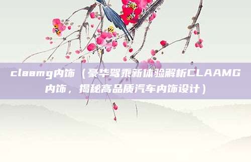 claamg内饰(豪华驾乘新体验解析CLAAMG内饰,揭秘高品质汽车内饰设计)