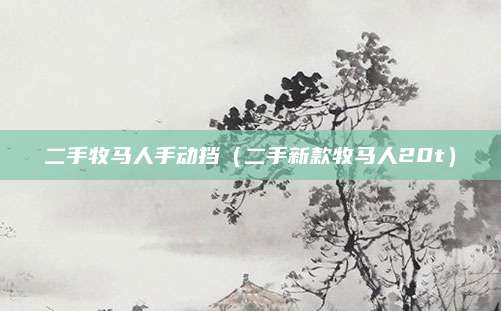 二手牧马人手动挡(二手新款牧马人20t)