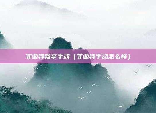 菲亚特畅享手动(菲亚特手动怎么样)