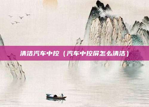 清洁汽车中控(汽车中控屏怎么清洁)