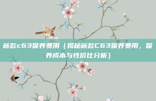 新款c63保养费用（揭秘新款C63保养费用，保养成本与性价比分析）