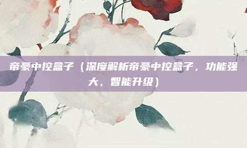 帝豪中控盒子（深度解析帝豪中控盒子，功能强大，智能升级）