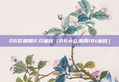 06款速腾2.0油耗(06大众速腾18t油耗)