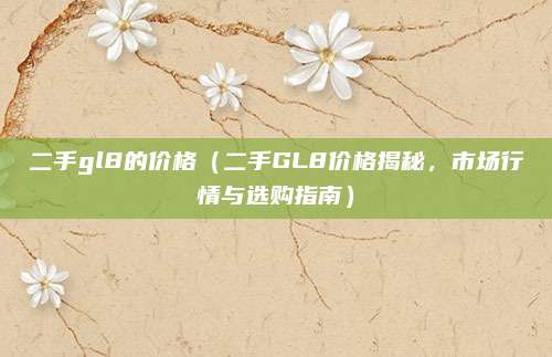 二手gl8的价格（二手GL8价格揭秘，市场行情与选购指南）