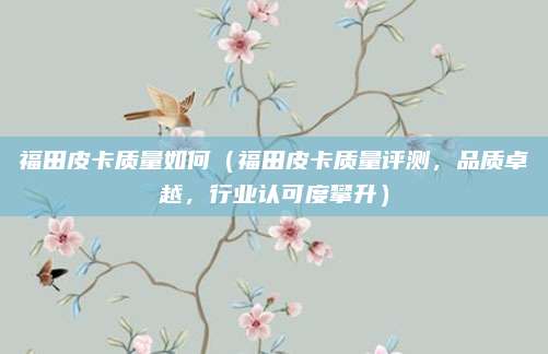 福田皮卡质量如何(福田皮卡质量评测,品质卓越,行业认可度攀升)