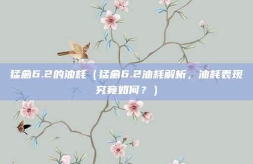 猛禽6.2的油耗(猛禽6.2油耗解析,油耗表现究竟如何?)