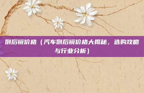 倒后镜价格（汽车倒后镜价格大揭秘，选购攻略与行业分析）