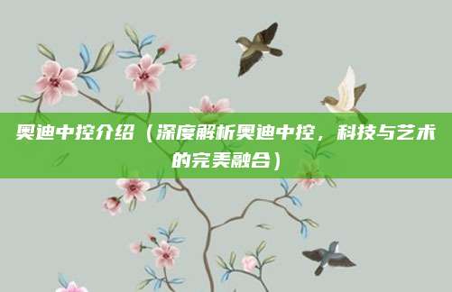 奥迪中控介绍（深度解析奥迪中控，科技与艺术的完美融合）