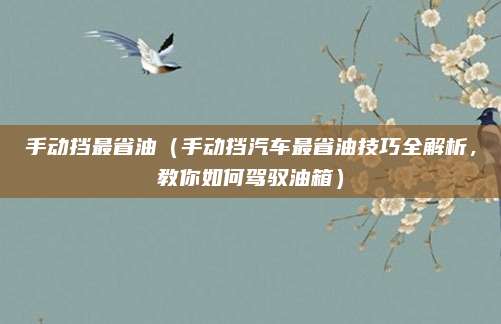 手动挡最省油（手动挡汽车最省油技巧全解析，教你如何驾驭油箱）