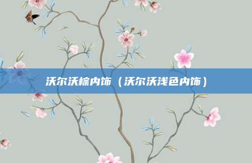 沃尔沃棕内饰(沃尔沃浅色内饰)