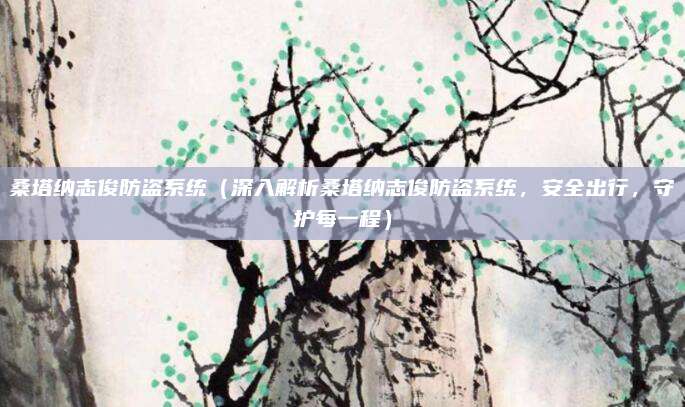 桑塔纳志俊防盗系统（深入解析桑塔纳志俊防盗系统，安全出行，守护每一程）