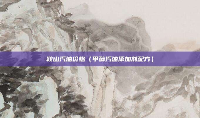 鞍山汽油价格(甲醇汽油添加剂配方)