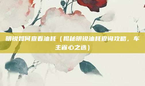 明锐如何查看油耗(揭秘明锐油耗查询攻略,车主省心之选)