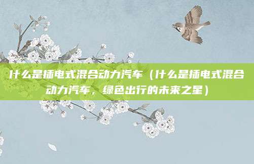 什么是插电式混合动力汽车（什么是插电式混合动力汽车，绿色出行的未来之星）