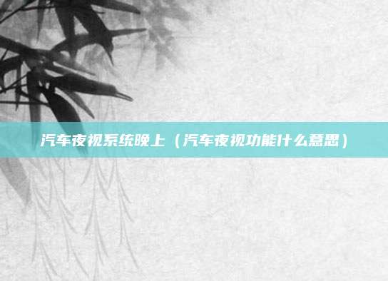 汽车夜视系统晚上(汽车夜视功能什么意思)