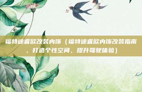 福特途睿欧改装内饰（福特途睿欧内饰改装指南，打造个性空间，提升驾驶体验）