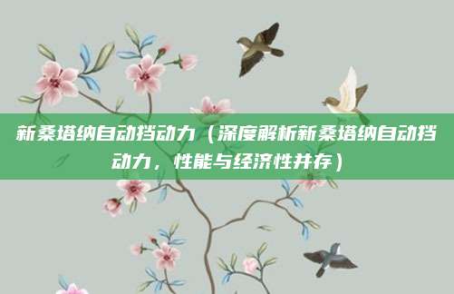 新桑塔纳自动挡动力(深度解析新桑塔纳自动挡动力,性能与经济性并存)