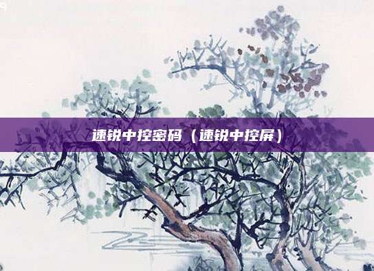 速锐中控密码(速锐中控屏)