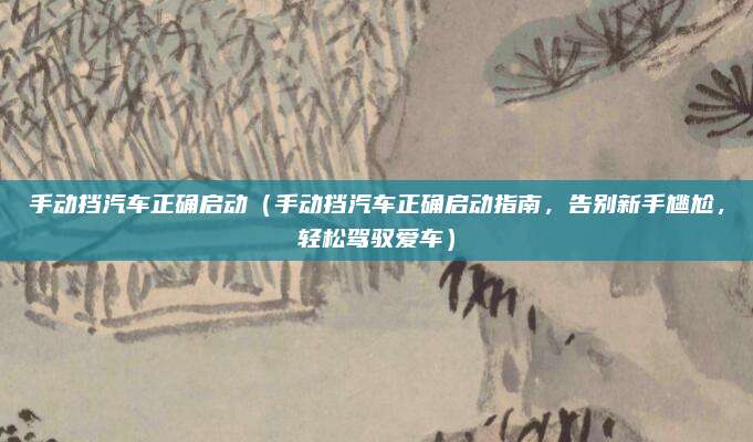 手动挡汽车正确启动(手动挡汽车正确启动指南,告别新手尴尬,轻松驾驭爱车)