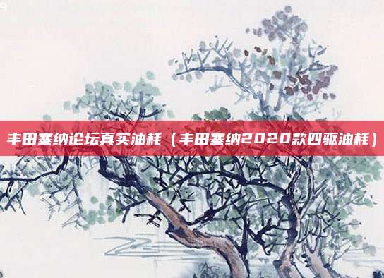 丰田塞纳论坛真实油耗（丰田塞纳2020款四驱油耗）