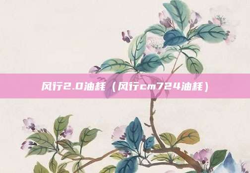 风行2.0油耗(风行cm724油耗)