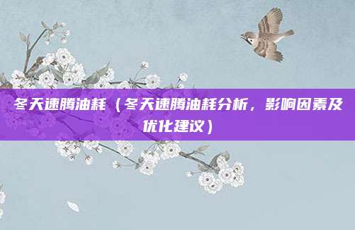 冬天速腾油耗(冬天速腾油耗分析,影响因素及优化建议)
