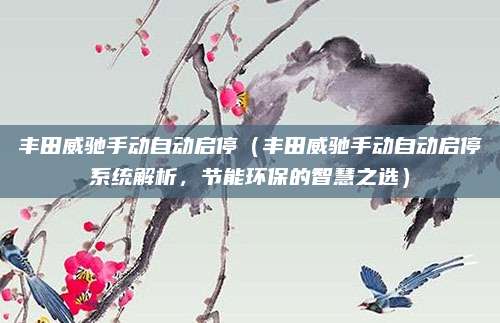 丰田威驰手动自动启停（丰田威驰手动自动启停系统解析，节能环保的智慧之选）
