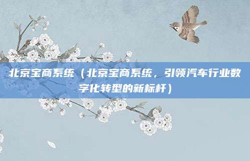 北京宝商系统（北京宝商系统，引领汽车行业数字化转型的新标杆）