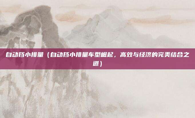 自动挡小排量（自动挡小排量车型崛起，高效与经济的完美结合之道）