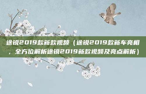 途锐2019款新款视频（途锐2019款新车亮相，全方位解析途锐2019新款视频及亮点解析）