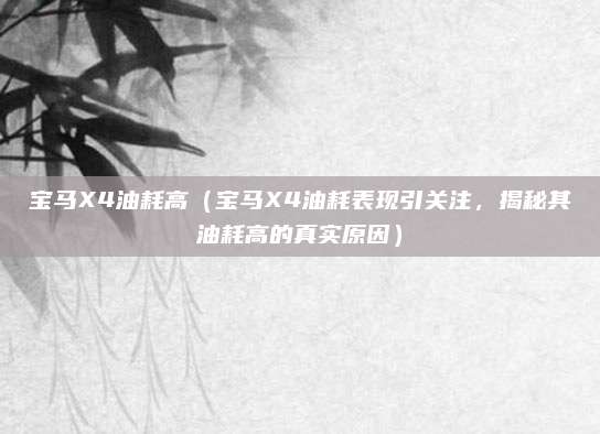 宝马X4油耗高(宝马X4油耗表现引关注,揭秘其油耗高的真实原因)