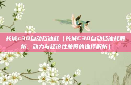 长城c30自动挡油耗（长城C30自动挡油耗解析，动力与经济性兼得的选择解析）