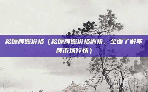 松原牌照价格（松原牌照价格解析，全面了解车牌市场行情）