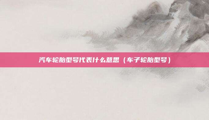 汽车轮胎型号代表什么意思(车子轮胎型号)