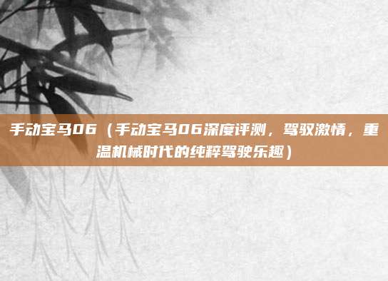 手动宝马06（手动宝马06深度评测，驾驭激情，重温机械时代的纯粹驾驶乐趣）