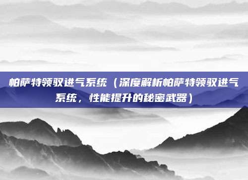 帕萨特领驭进气系统(深度解析帕萨特领驭进气系统,性能提升的秘密武器)
