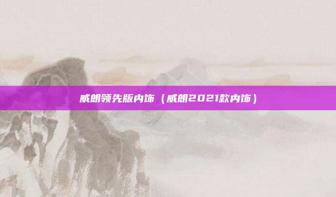 威朗领先版内饰(威朗2021款内饰)