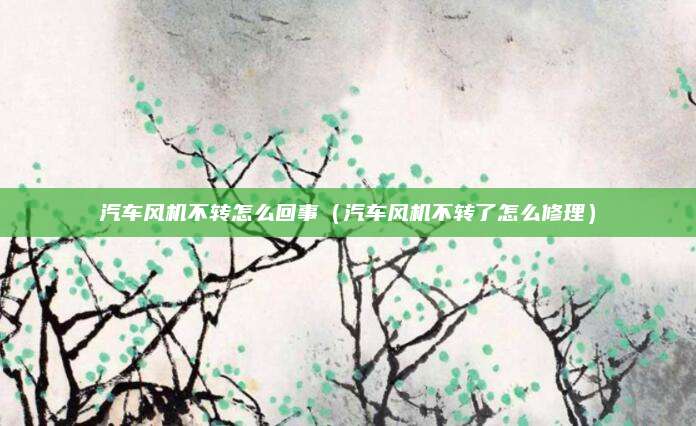 汽车风机不转怎么回事(汽车风机不转了怎么修理)