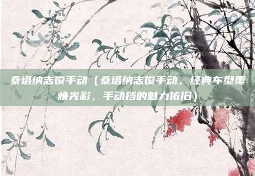 桑塔纳志俊手动(桑塔纳志俊手动,经典车型重焕光彩,手动挡的魅力依旧)
