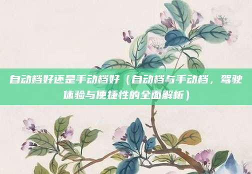 自动档好还是手动档好(自动档与手动档,驾驶体验与便捷性的全面解析)